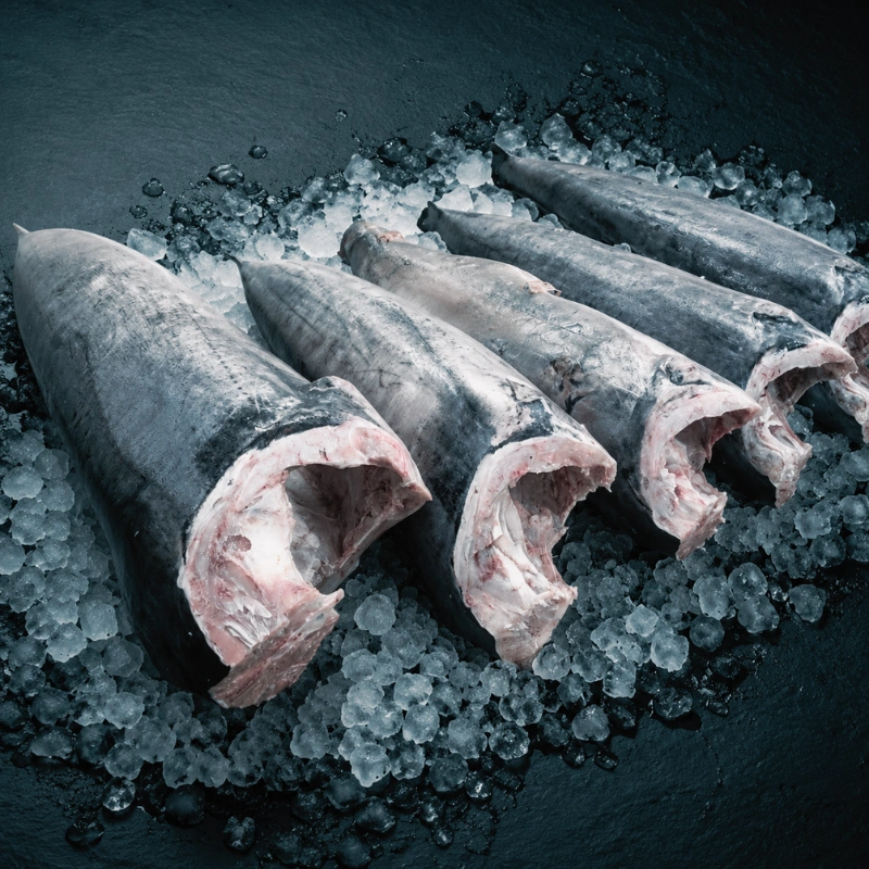 Swordfish Headed and Gutted on ice